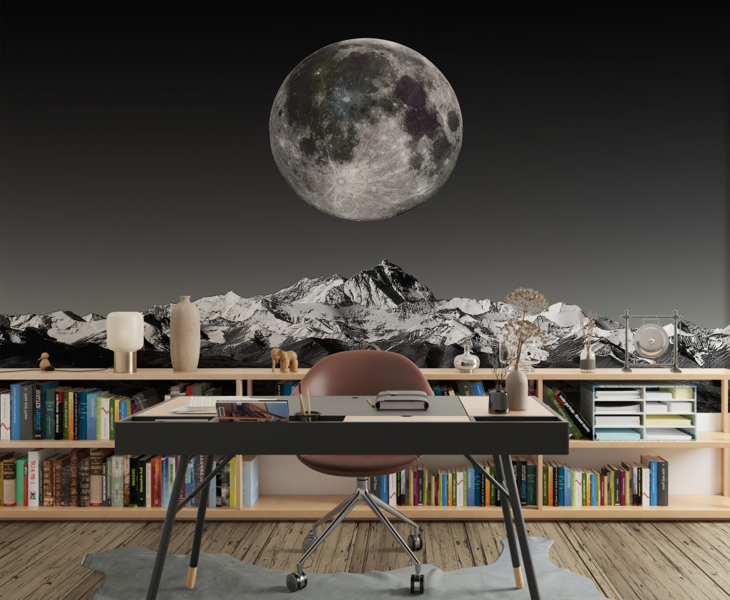 Black and White Moonlight Wallpaper for Home Library