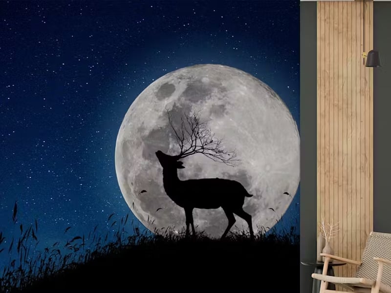 Moonlit Deer Silhouette wallpaper for Halloween-theme room